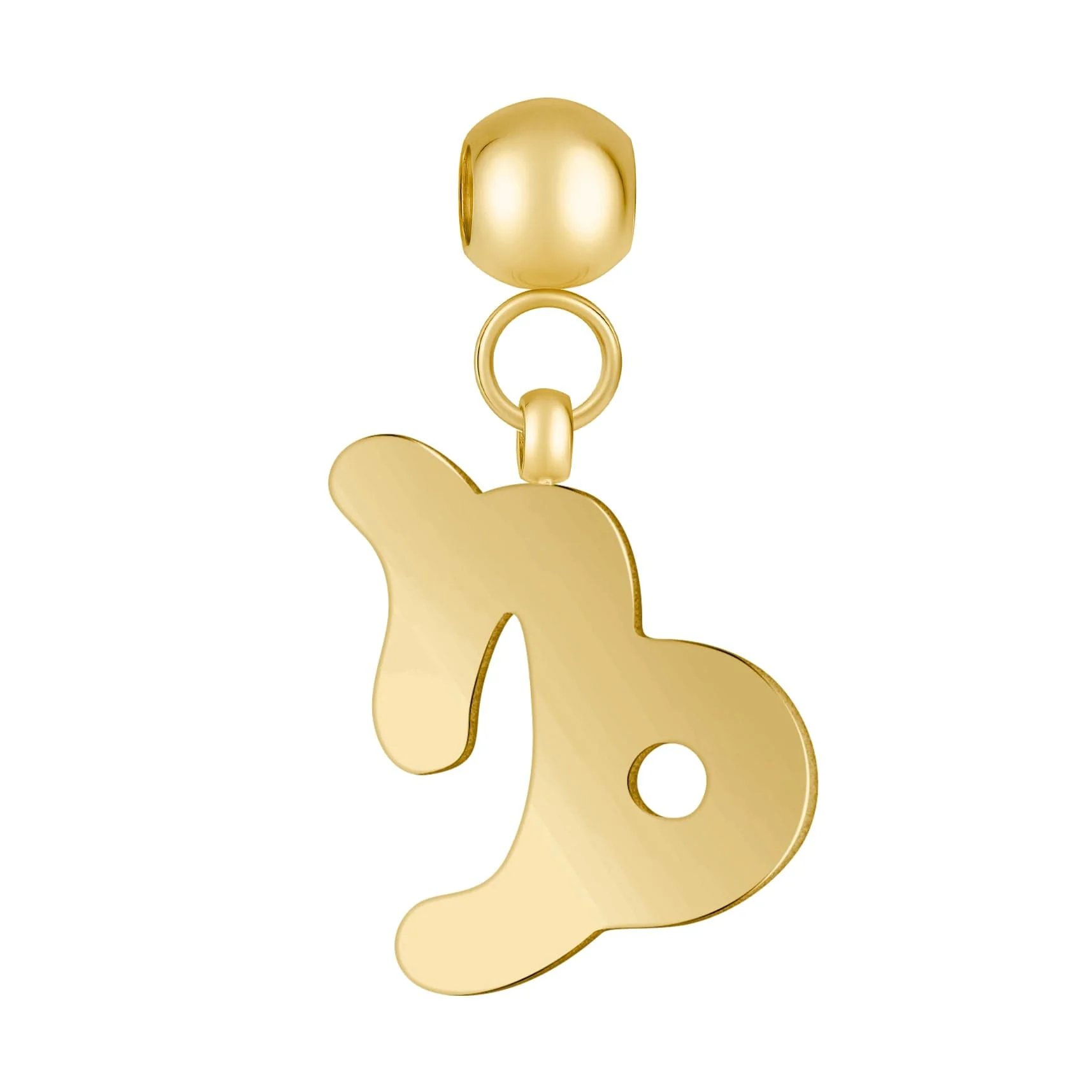 Capricorn Charm