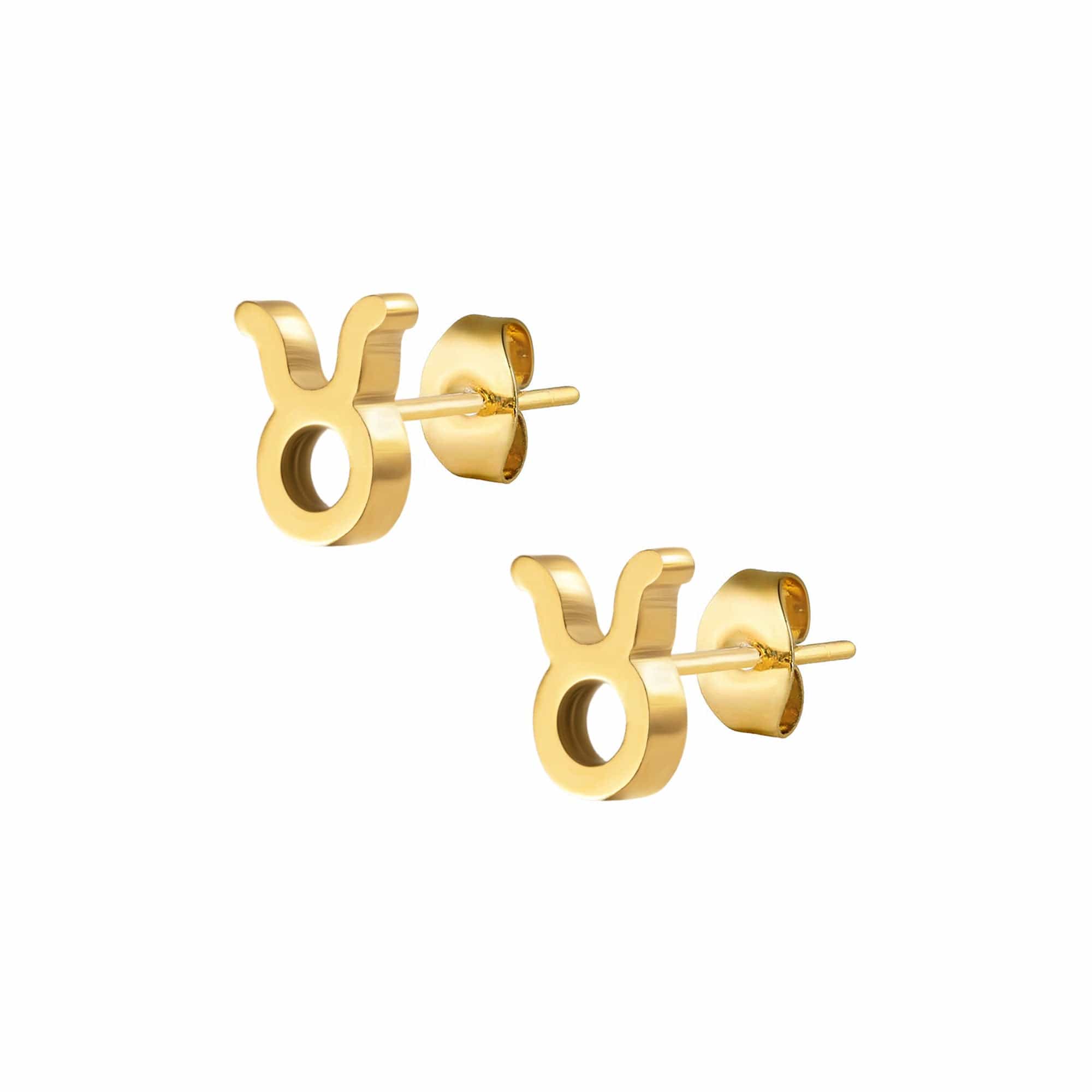 Fate Zodiac Stud Earrings - Image 11