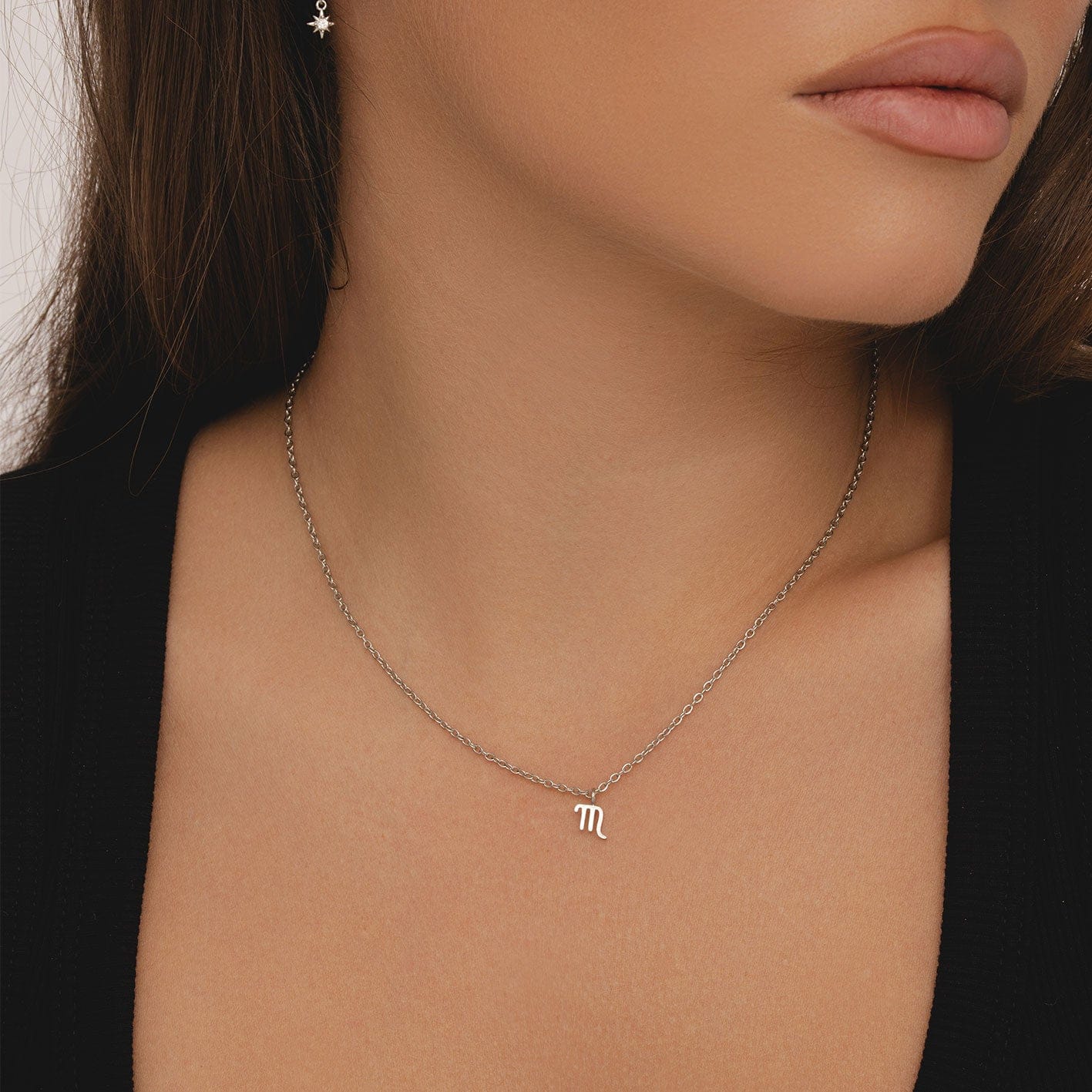 Happy Birthday Zodiac Necklace - Image 3